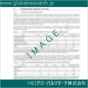 グローバルリサーチ調査資料のイメージ